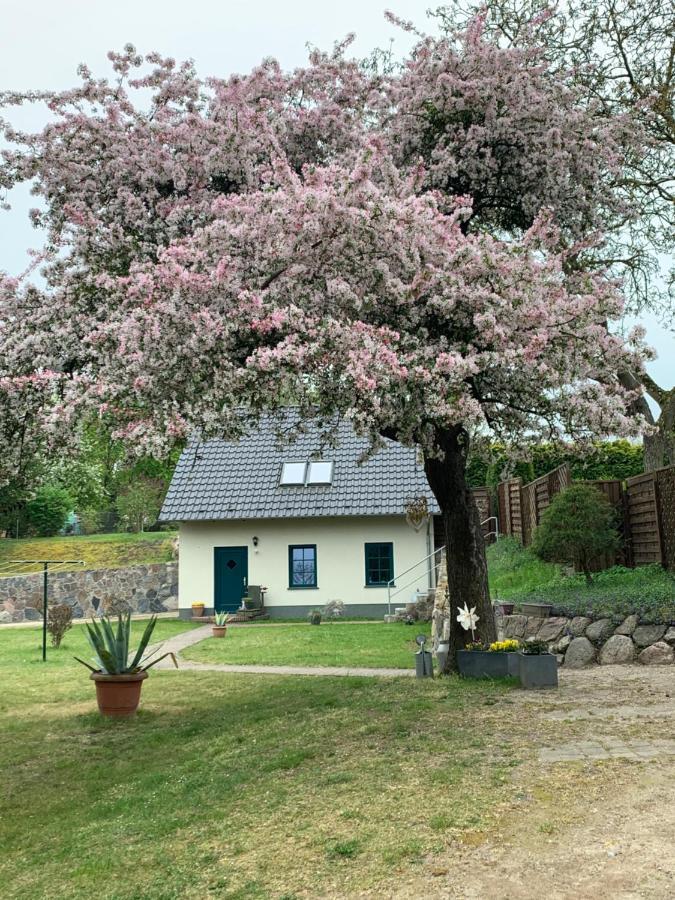 „Rentmeisterhaus Basedow“ Basedow  Экстерьер фото
